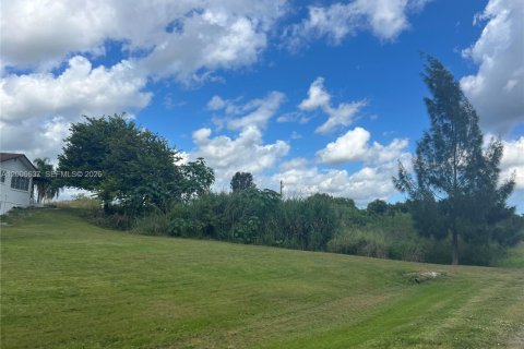 Immobilier commercial à vendre à Moore Haven, Floride № 2170742 - photo 2