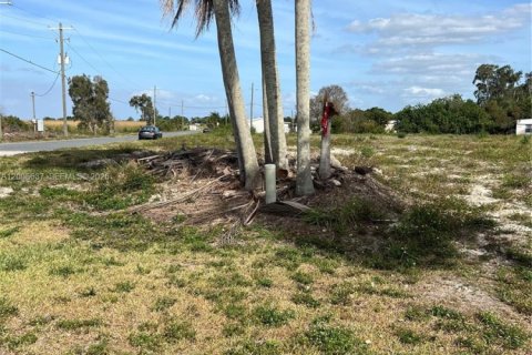 Immobilier commercial à vendre à Moore Haven, Floride № 2170742 - photo 3