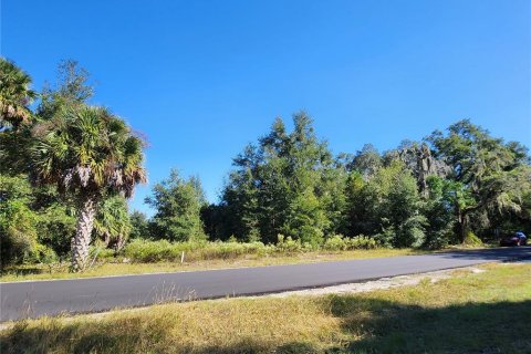 Land in Dunnellon, Florida № 2098632 - photo 27