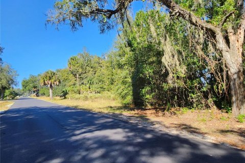 Land in Dunnellon, Florida № 2098632 - photo 25