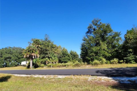 Land in Dunnellon, Florida № 2098632 - photo 26