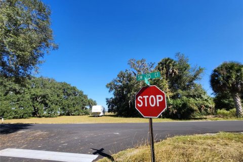 Land in Dunnellon, Florida № 2098632 - photo 28