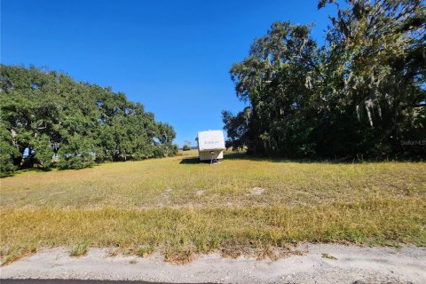 Land in Dunnellon, Florida № 2098632 - photo 30