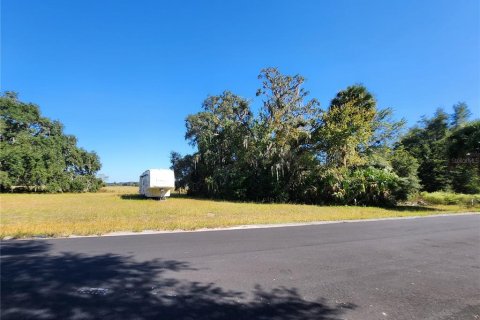 Land in Dunnellon, Florida № 2098632 - photo 29
