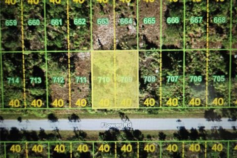 Land in Punta Gorda, Florida № 2163128