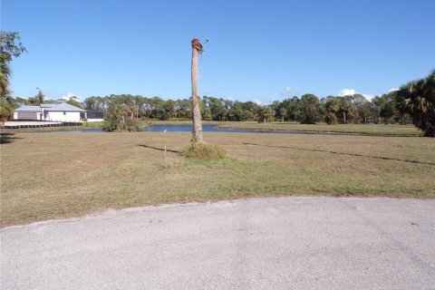 Terrain à vendre à Punta Gorda, Floride № 1555874 - photo 3