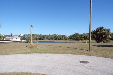 Terrain à vendre à Punta Gorda, Floride № 1555874 - photo 1