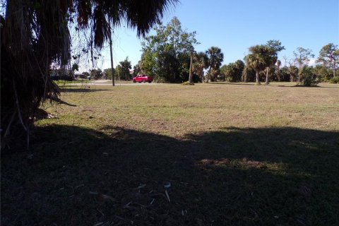 Terrain à vendre à Punta Gorda, Floride № 1555874 - photo 6