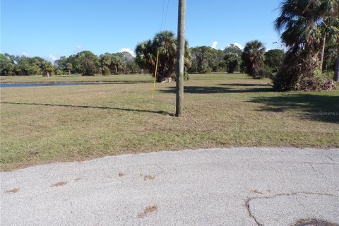 Terrain à vendre à Punta Gorda, Floride № 1555874 - photo 4