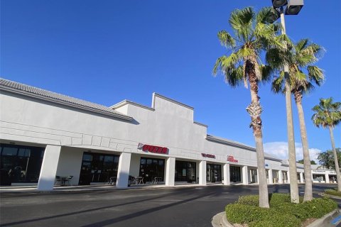 Immobilier commercial à louer à Punta Gorda, Floride № 212769 - photo 7