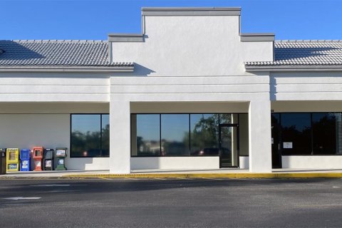Immobilier commercial à louer à Punta Gorda, Floride № 212769 - photo 8