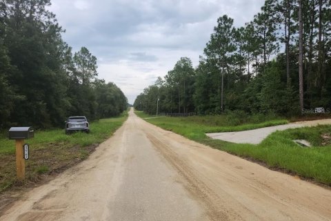 Land in Ocala, Florida № 1381318 - photo 4