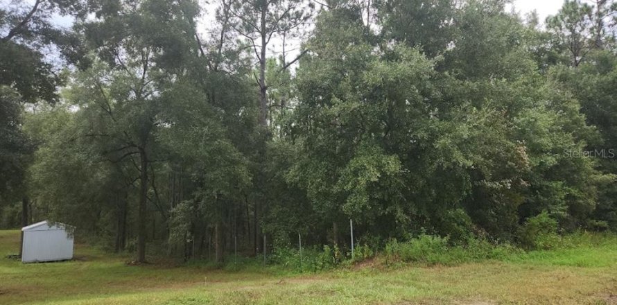 Land in Ocala, Florida № 1381318
