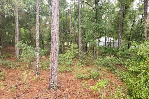 Land in Ocala, Florida № 1381318 - photo 5