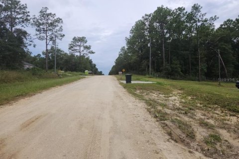 Land in Ocala, Florida № 1381318 - photo 3