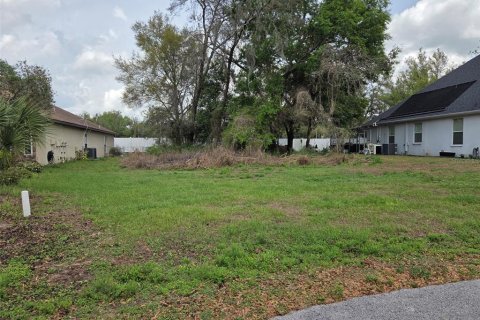 Land in Zephyrhills, Florida № 2155604 - photo 2