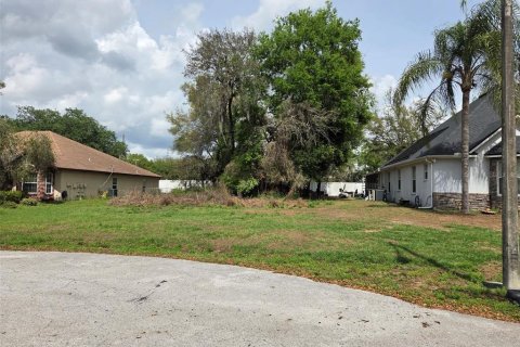 Land in Zephyrhills, Florida № 2155604