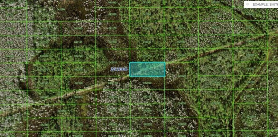 Land in Polk City, Florida № 2163752