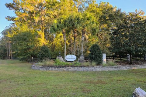 Land in Williston, Florida № 2212909 - photo 17