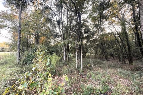 Land in Williston, Florida № 2212909 - photo 10