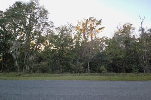 Land in Williston, Florida № 2212909 - photo 18