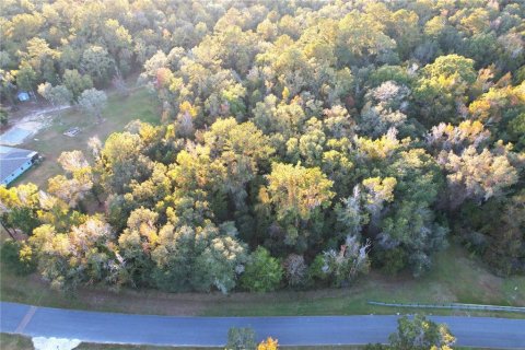 Land in Williston, Florida № 2212909 - photo 13