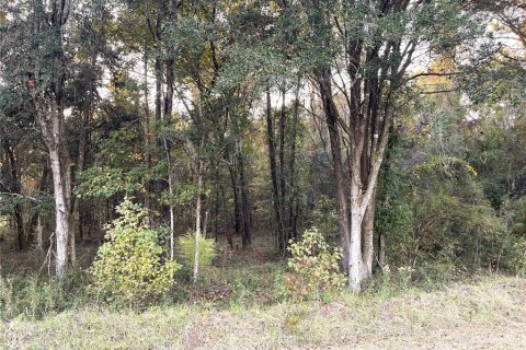 Land in Williston, Florida № 2212909
