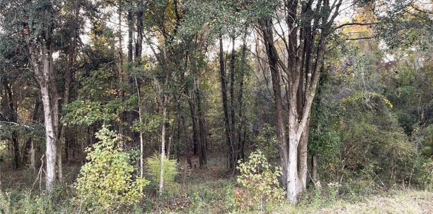 Land in Williston, Florida № 2212909