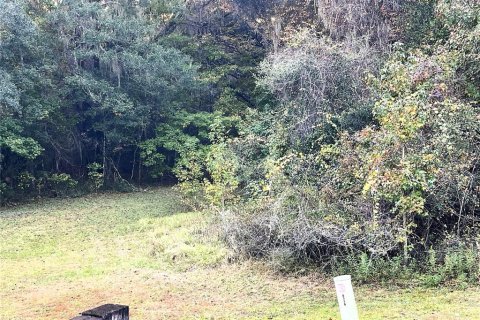Land in Williston, Florida № 2212909 - photo 9