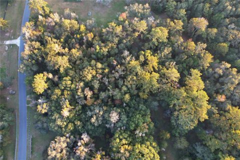 Land in Williston, Florida № 2212909 - photo 15