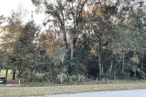Land in Williston, Florida № 2212909 - photo 8