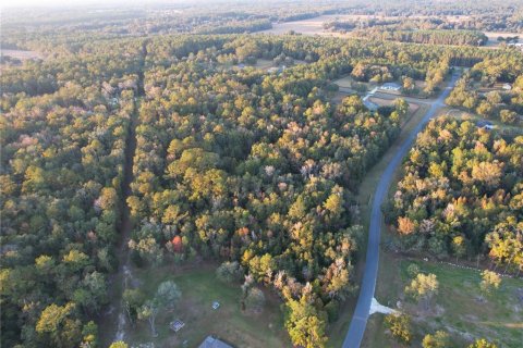 Land in Williston, Florida № 2212909 - photo 16