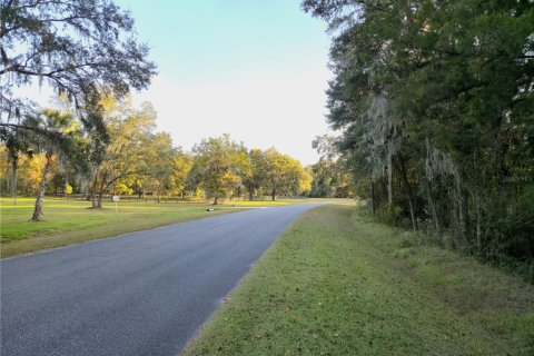 Land in Williston, Florida № 2212909 - photo 6