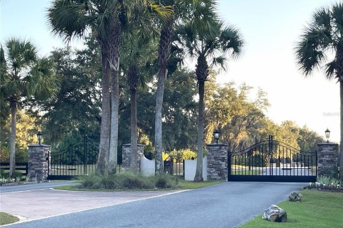 Land in Williston, Florida № 2212909 - photo 5