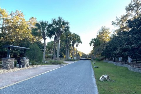 Land in Williston, Florida № 2212909 - photo 3
