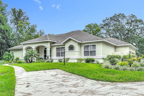 House in Hernando, Florida 4 bedrooms, 251.86 sq.m. № 1833599 - photo 3