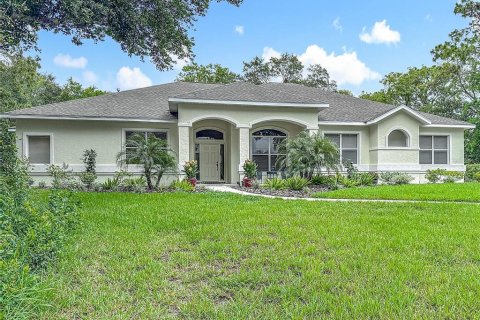 House in Hernando, Florida 4 bedrooms, 251.86 sq.m. № 1833599 - photo 5