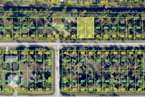 Land in Punta Gorda, Florida № 2163261