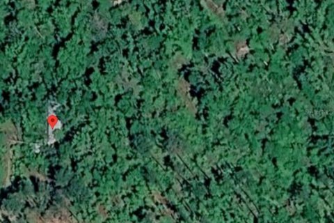 Land in Live Oak, Florida № 2359123