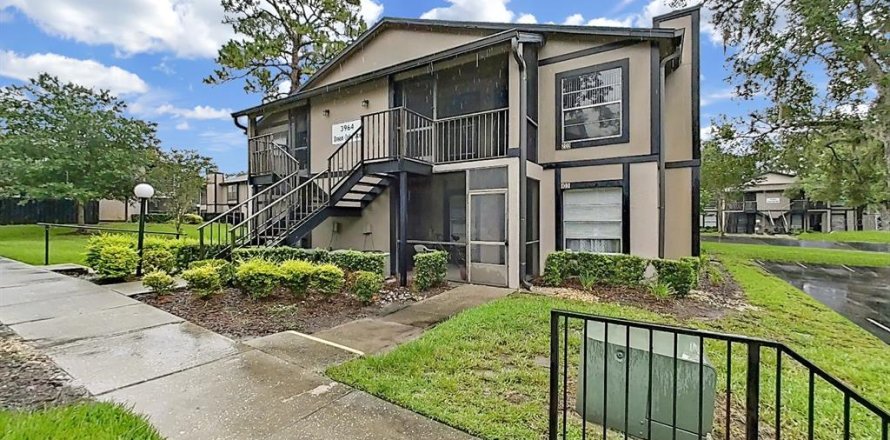 Condo in Tampa, Florida, 2 bedrooms  № 1812603