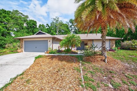 Casa en New Port Richey, Florida 3 dormitorios, 170.75 m2 № 2116561