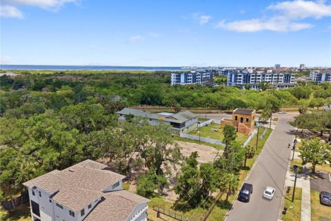 Land in Tampa, Florida № 2386139 - photo 20