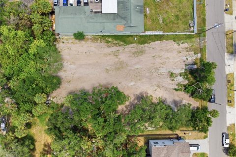 Land in Tampa, Florida № 2386139 - photo 27