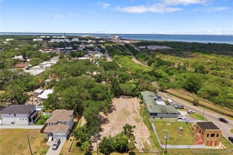 Land in Tampa, Florida № 2386139 - photo 12