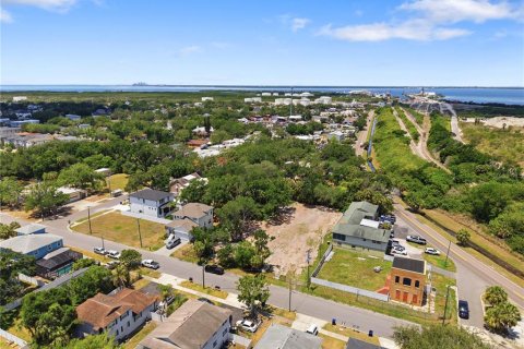 Land in Tampa, Florida № 2386139 - photo 10