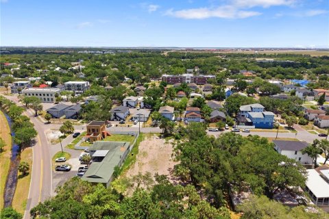 Land in Tampa, Florida № 2386139 - photo 16