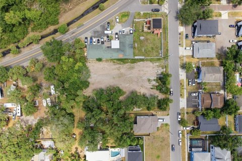 Land in Tampa, Florida № 2386139 - photo 18