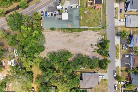 Land in Tampa, Florida № 2386139