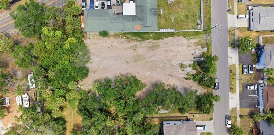 Land in Tampa, Florida № 2386139