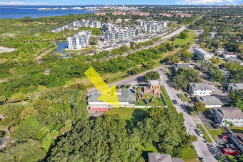 Land in Tampa, Florida № 2386139 - photo 5